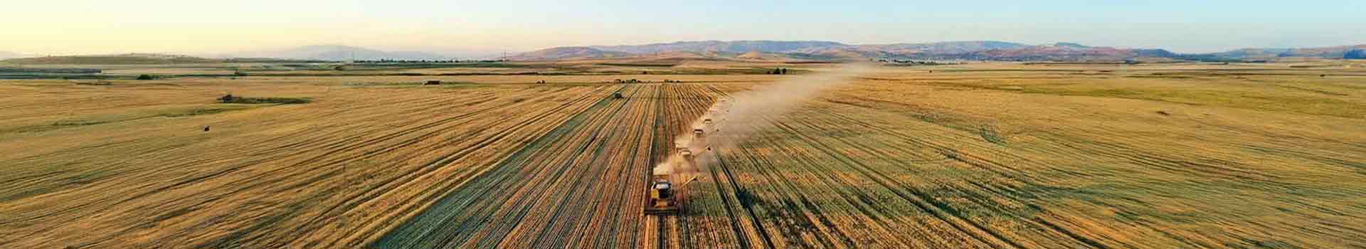 Tarla ve Arsa Arasındaki Fark Nedir?